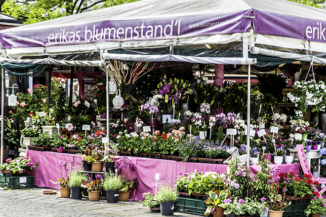 Blumenstand am Münchner Viktualienmarkt Foto: Christine Lisse