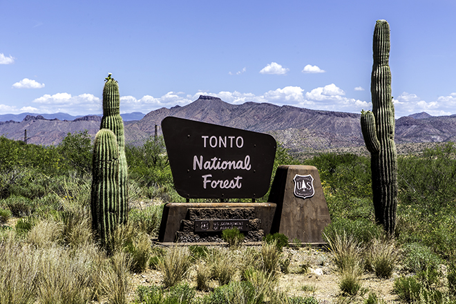 Tonto National Forest, Arizona Foto: Christine Lisse