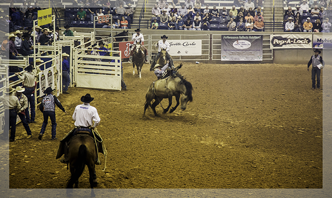 Rodeo September 2014 |Amarillo | Texas Foto: Christine Lisse