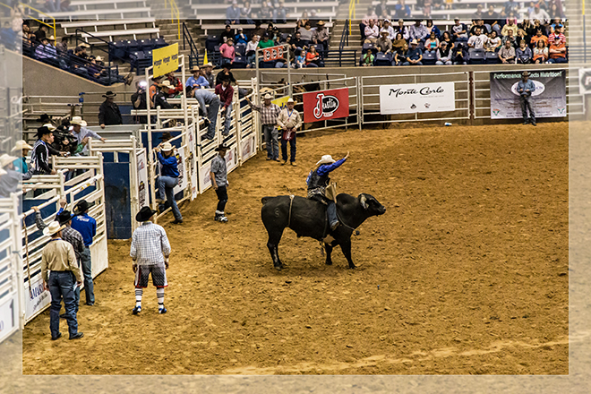 Rodeo September 2014 | Amarillo | Texas Foto: Christine Lisse