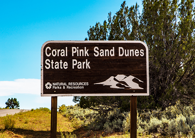 Coral Pink Sand Dunes State Park | Utah Foto: Christine Lisse
