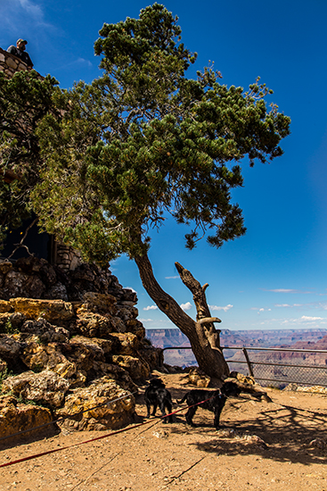 Desert View Tower | Grand Canyon National Park | Arizona Foto: Christine Lisse