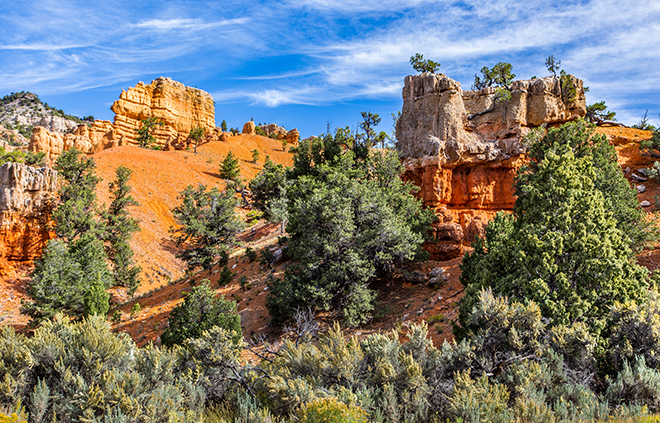 Dixie National Forest | Red Canyon | Utah Foto: Christine Lisse