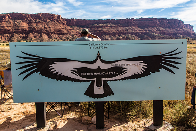 Kondor Beobachtungsstation | Vermillion Cliffs National Monument | Arizona Foto: Christine Lisse