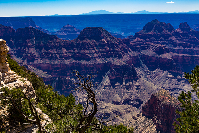 Grand Canyon National Park | North Rim | Arizona Foto: Christine Lisse