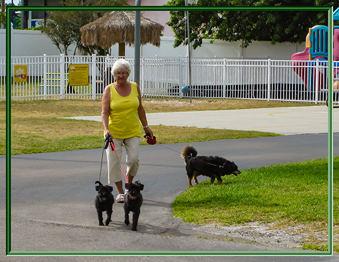 Oma Olly | Bobby | Debby & Faya | in Florida Foto: Christine Lisse