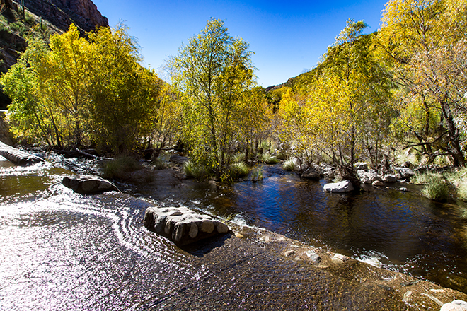 Sabono Creek | Sabino Canyon | Tucson| Arizona Foto: Christine Lisse