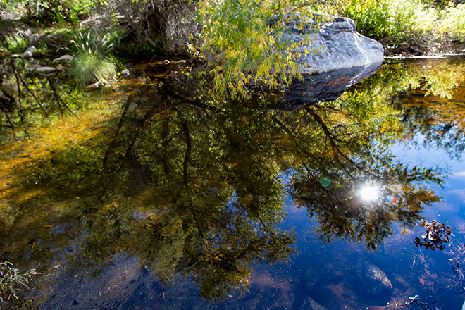 Sabino Creek | Sabino Canyon | Tucson| Arizona Foto: Christine Lisse