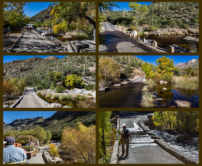 Sabino Canyon | Tucson | Arizona Fotos: Christine Lisse
