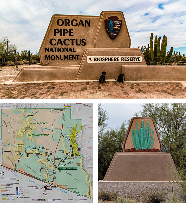 Organ Pipe National Monument | Arizona Fotos: Christine Lisse