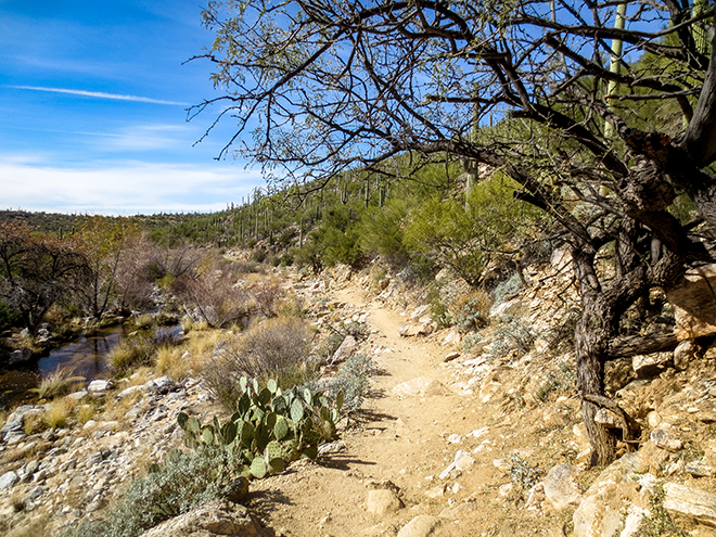 Seven Falls Trail | Tucson | Arizona Foto: Peter Lisse