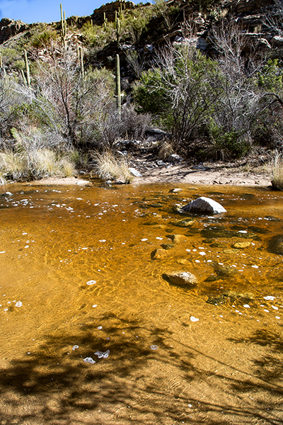 Bear Canyon | Sabino Creek | Tucson | Arizona Foto: Christine Lisse