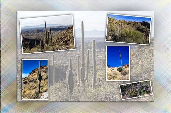 Bird Canyon | Esperero Trail | Tucson | Arizona | Fotos: Peter Lisse