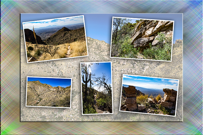 Bird Canyon | Esperero Trail | Tucson | Arizona | Foto: Peter Lisse