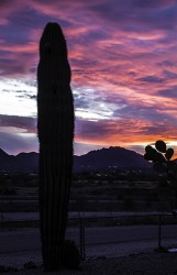 Sunset in Tucson, Arizona, USA