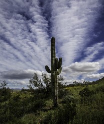 Picacho Peak State Park, Arizona USA