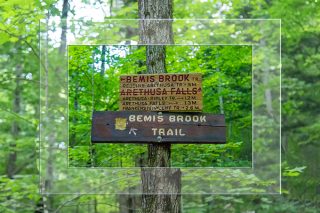 Bemis Brook Trail | Crawford Notch | New Hampshire