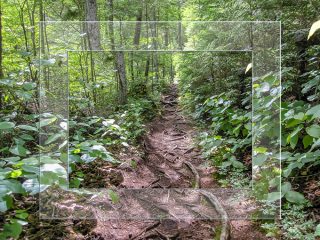 Bemis Brook Trail | Crawford Notch | New Hampshire