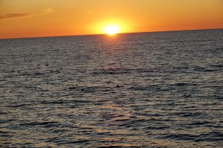 Sonnenuntergang mit Delfinen